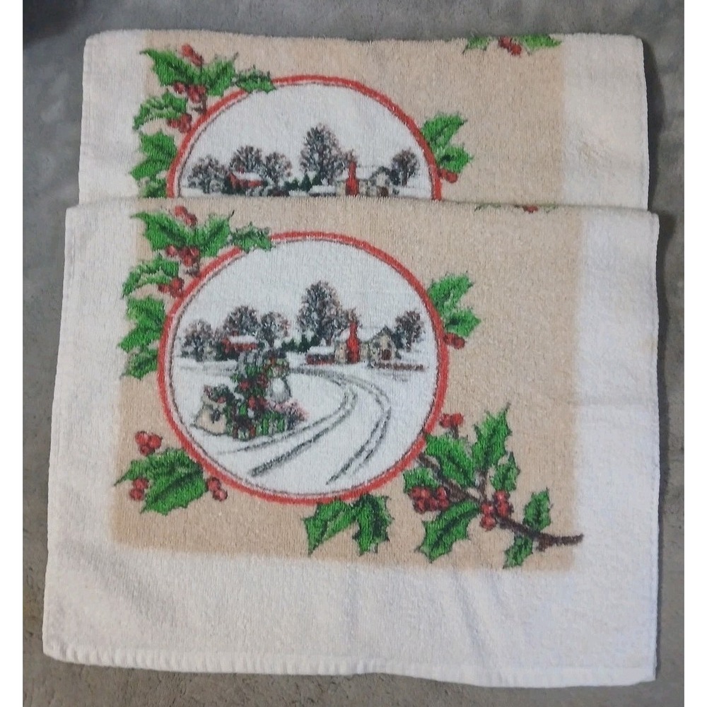2 Christmas Kitchen Towels Terrycloth Dish Hand Country Farm Mail Box READ